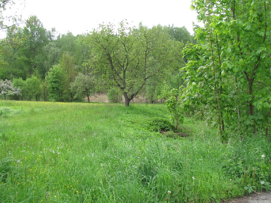Prodej pozemku 4022m2 Dlouhý Most u Liberce