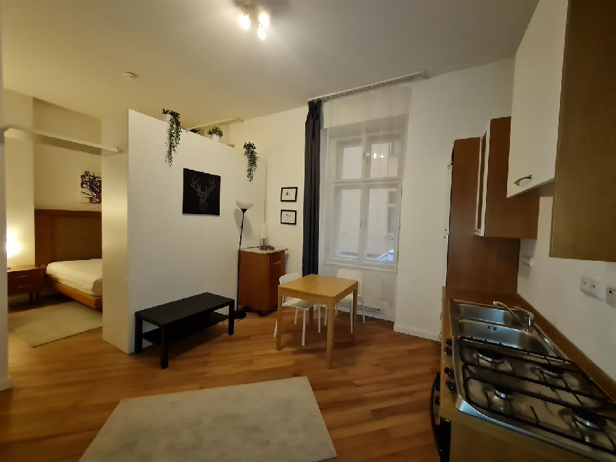Sale apartment 1 + 1, 35 m2 in the center of Prague 1 near Old Town Square